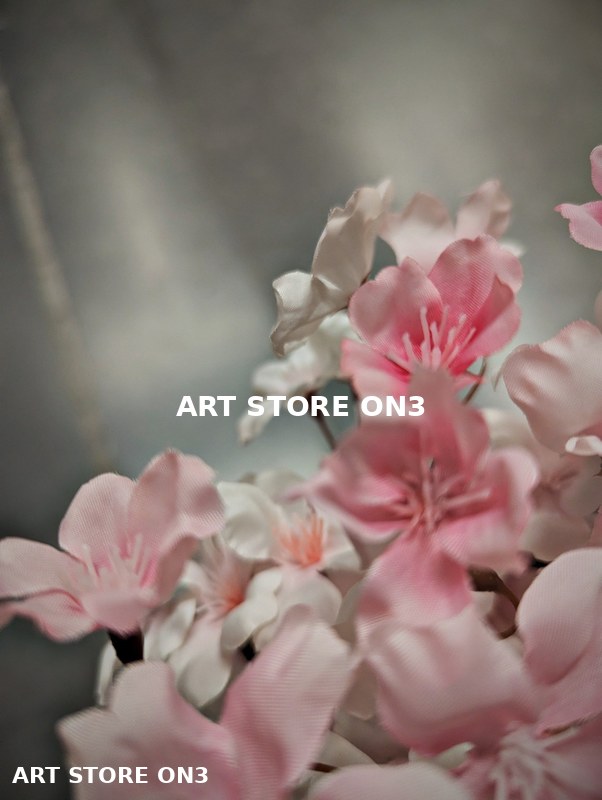 Soft Pink Blossoms