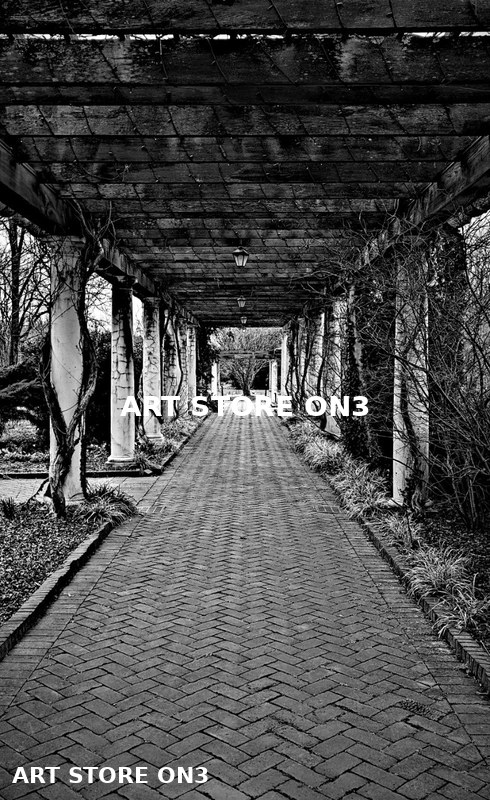 Pergola Walk in Black