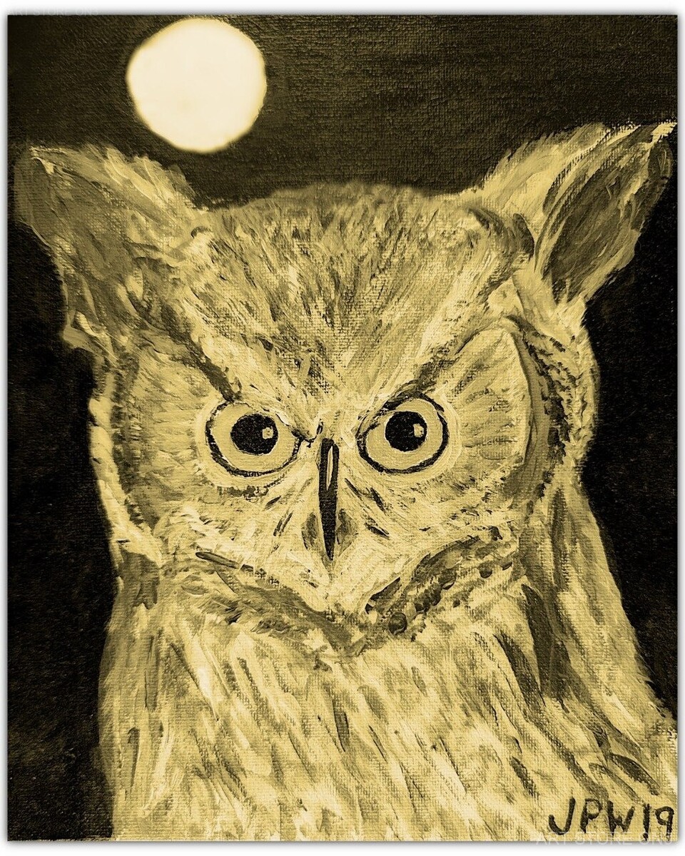 Moonlit Owl - Photography Print, 8.5x11