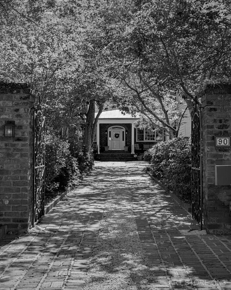 Garden Gate Driveway - Photography Print, 8.5x11