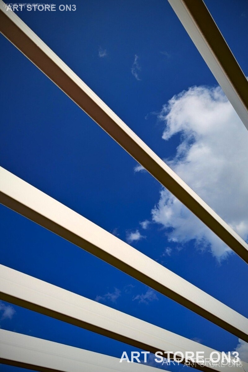 Looking Up - Photography Print, 8.5x11